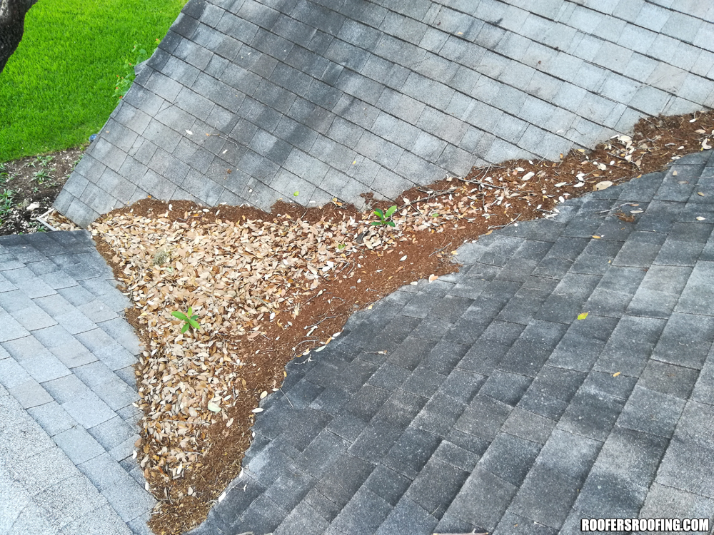roofing austin tx, roof repair austin tx, roofing san antonio tx, roof repair san antonio tx, roofing buda tx, roof repair kyle tx, roof repair san marcos tx